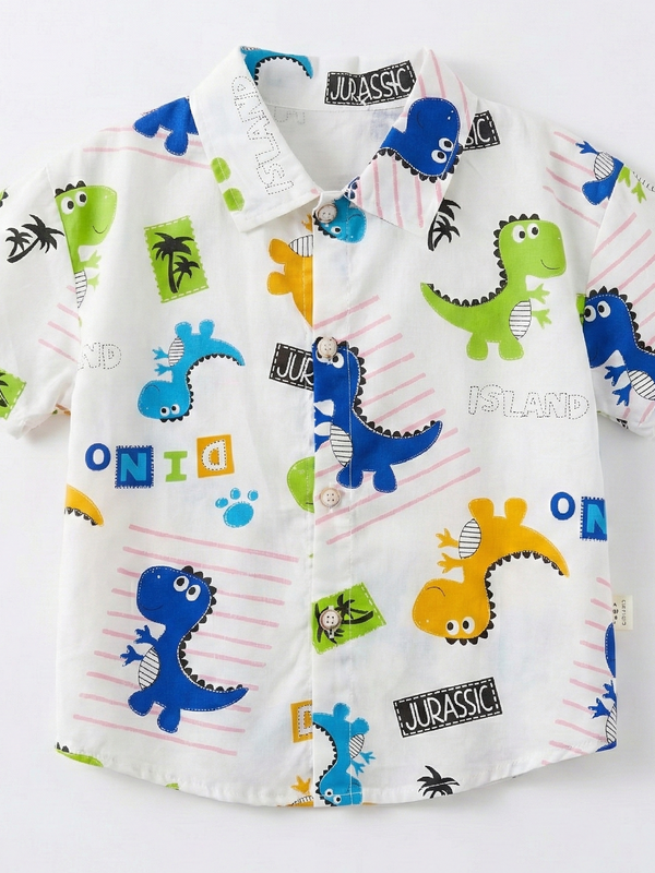 Camisa de dinosaurios colores